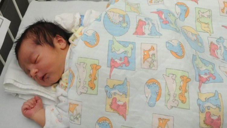 Снимка: Булфото, архив