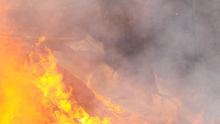 Снимка: Булфото