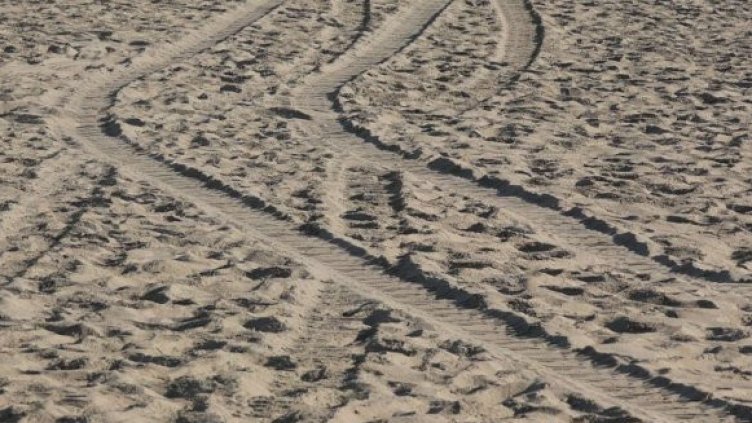 Снимка БГНЕС