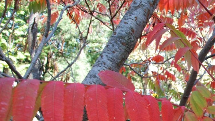 Снимка: Булфото, архив