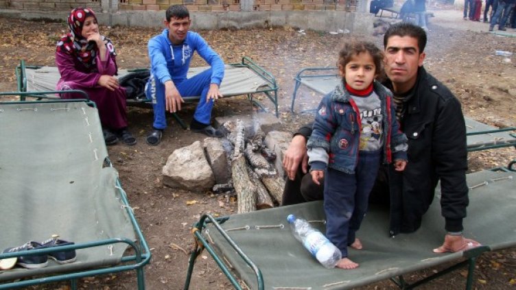 Снимка: Impact Press Group