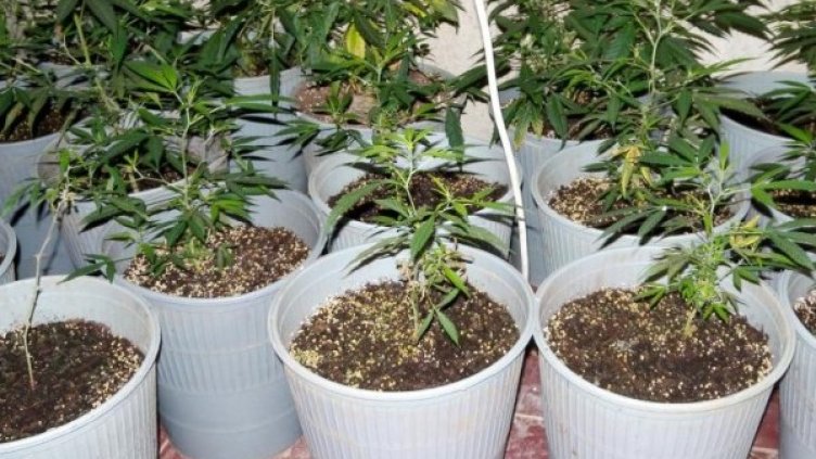 Снимка: МВР