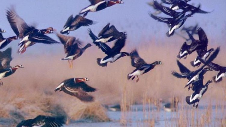 Снимка: БулФото-архив