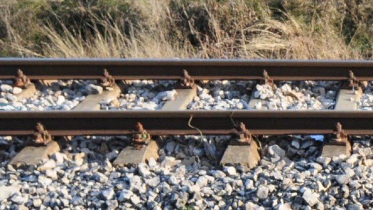 Снимка: Булфото, архив