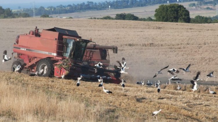 Снимка: Булфото