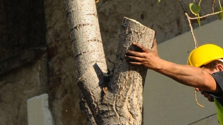 Снимка: Булфото, архив