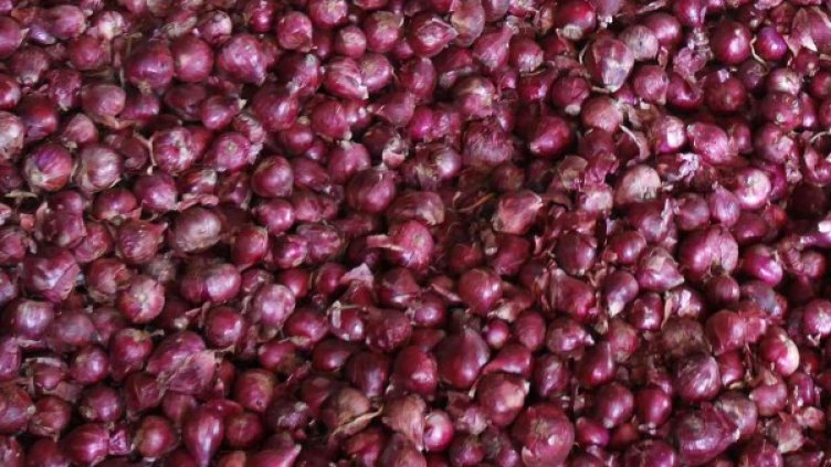 Снимка: Ройтерс, архив