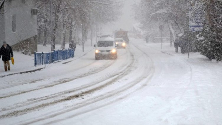Снимка: архив Булфото