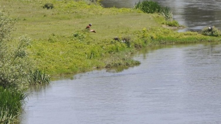 Снимка: Булфото