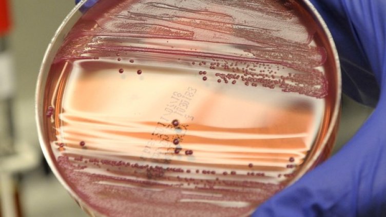 Снимка: архив, Reuters