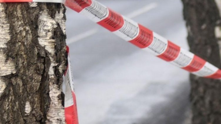 Снимка: архив, Булфото