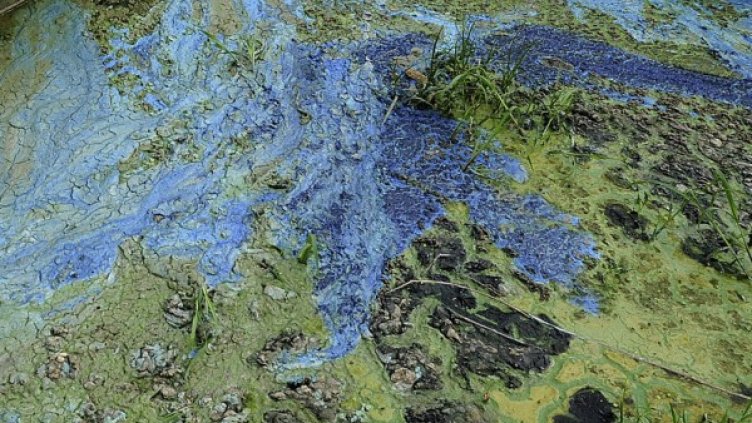 Снимка: Reuters