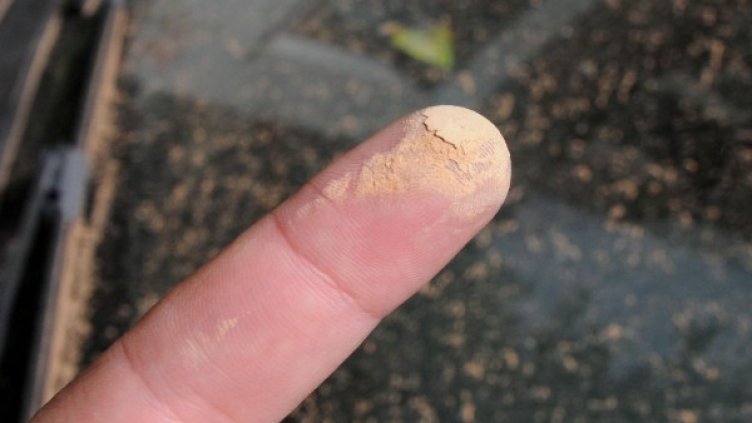 Снимка: архив, Булфото