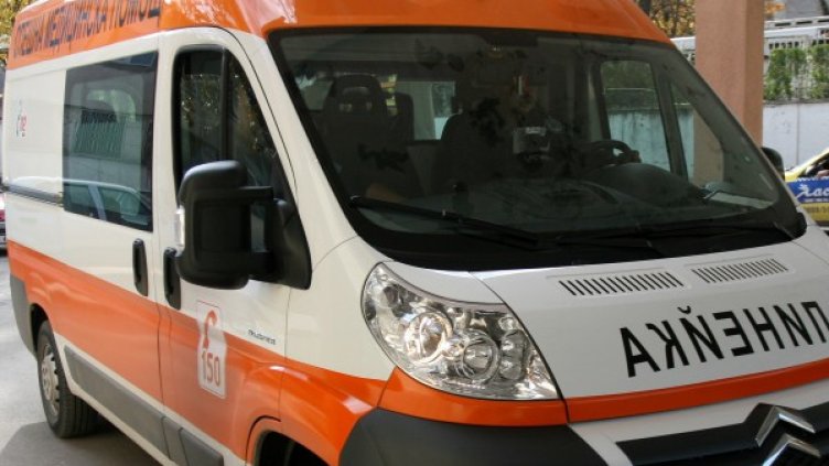 Снимка: Impact Press Group