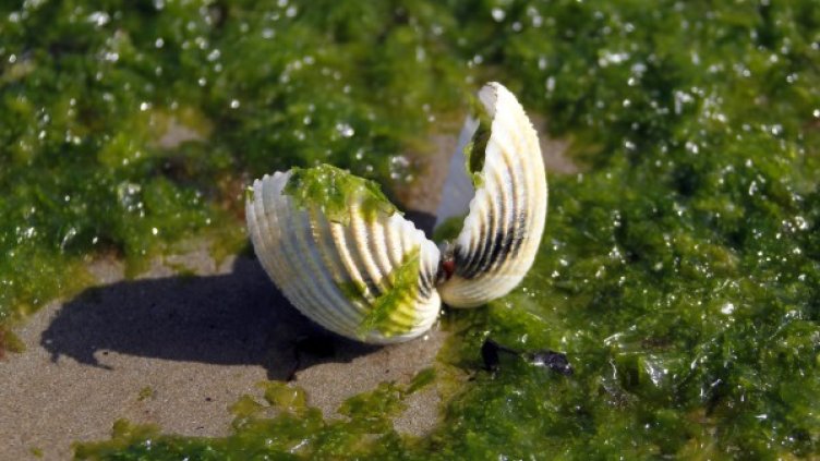 Снимка: архив, Reuters