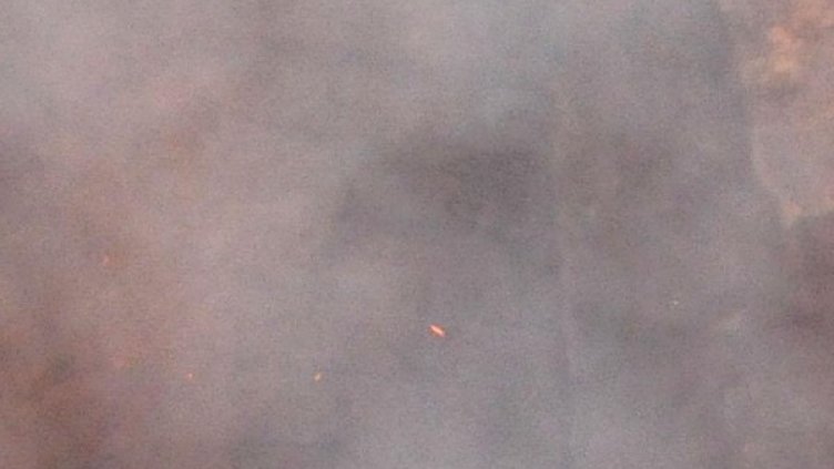 Архив: Булфото