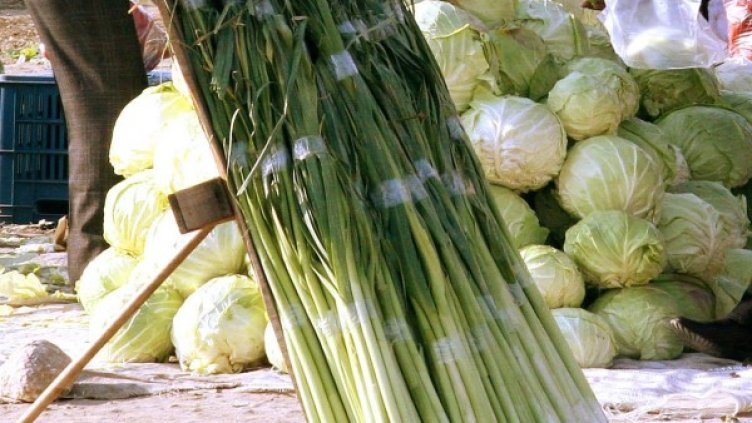 Снимка: Булфото