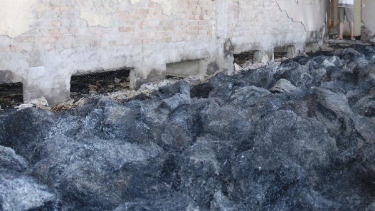 Снимка: Булфото, архив