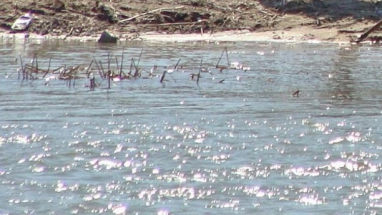 Снимка: архив, Булфото