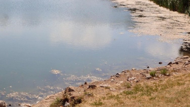 Архив: Булфото