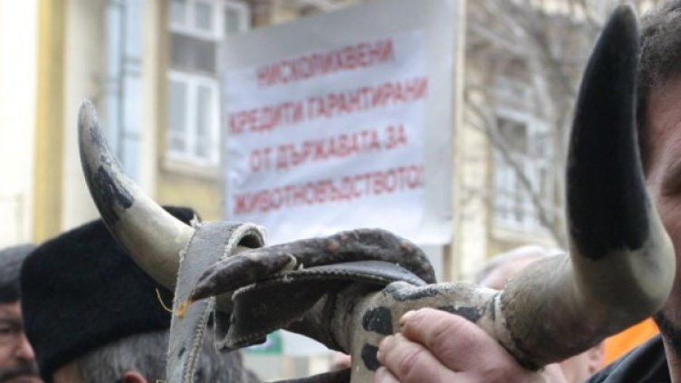 Снимка: Булфото