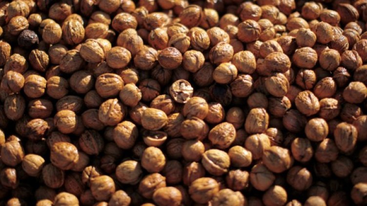 Снимка: архив, Reuters