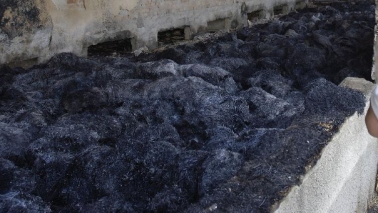 Снимка: Булфото