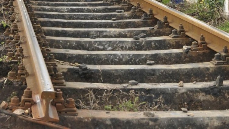 Архив: Булфото