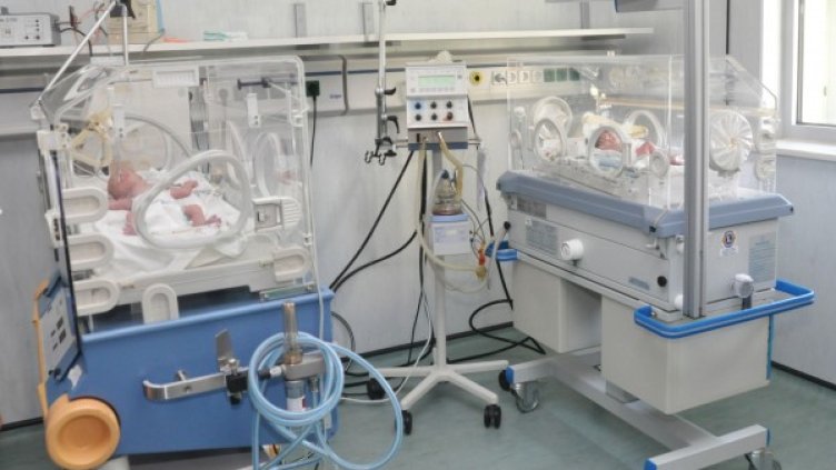 Снимка: Булфото