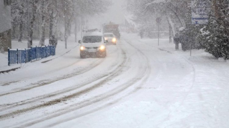 Снимка: архив, Булфото
