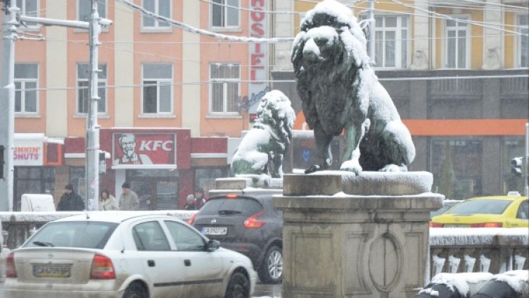 Снимка: Булфото, архив