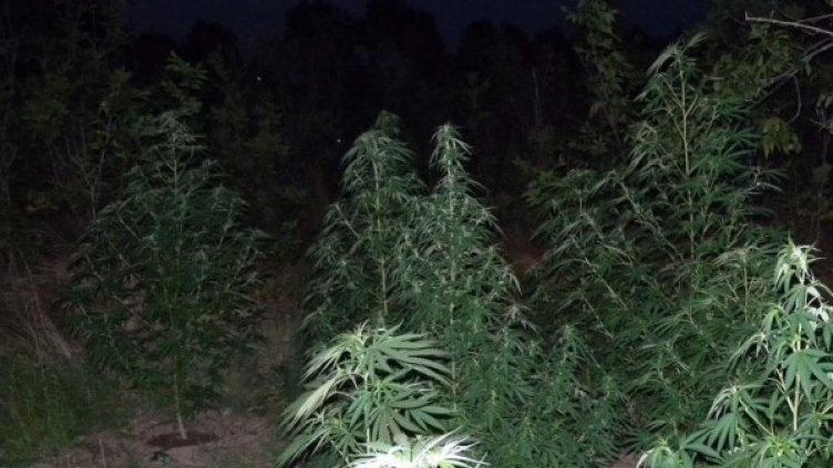 Снимка: Булфото, архив