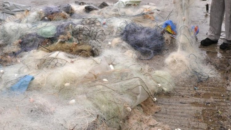 Снимка: Булфото, архив