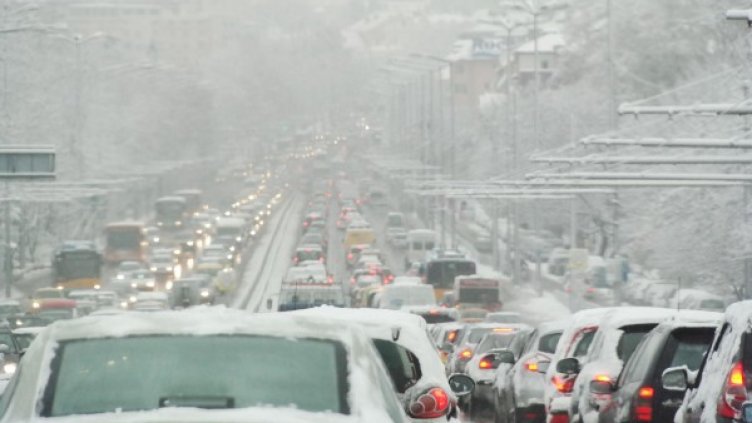 Снимка: Булфото