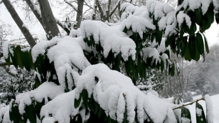 Снимка: архив, Булфото