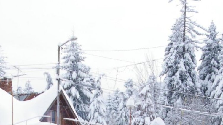 Снимка: БулФото-архив