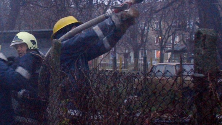 Архив: Булфото