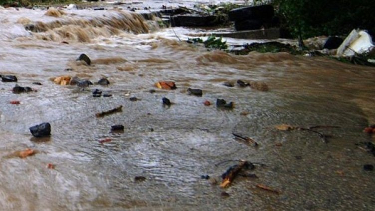 Архив: Булфото