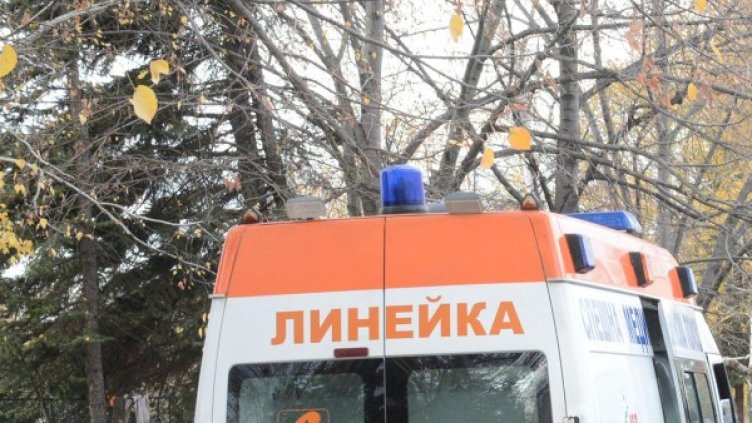 Снимка: Булфото, архив