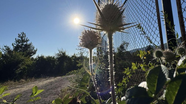 Снимка: архив, БГНЕС