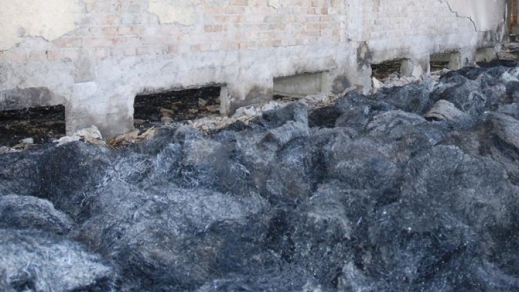 Снимка: Булфото, архив