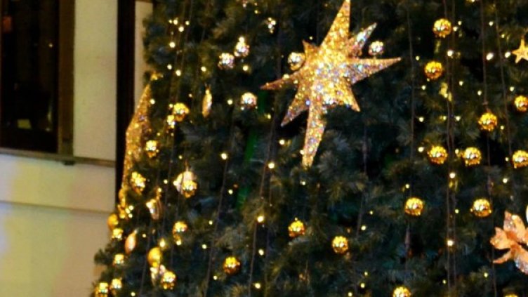 Снимка: архив, Булфото