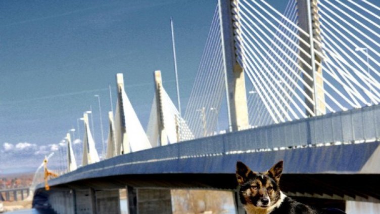 Снимка: архив Булфото