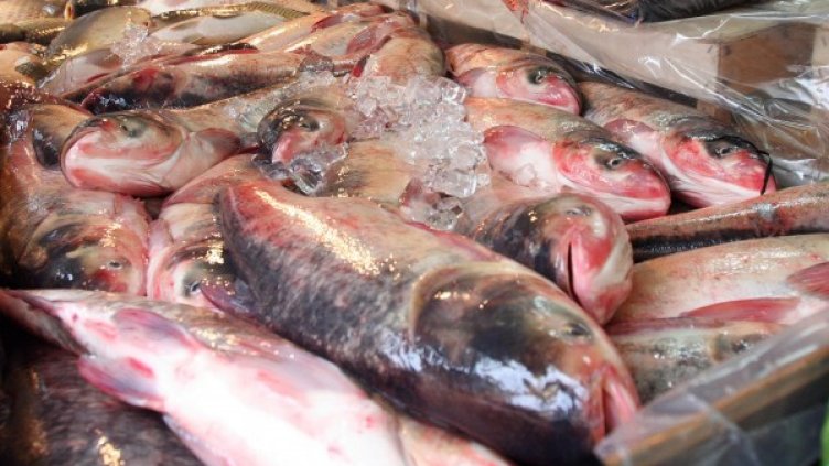 Снимка: Булфото