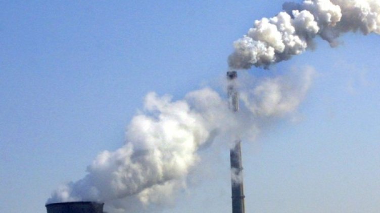 Снимка: Булфото, архив