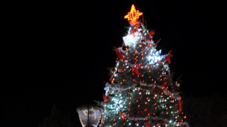 Архив: Булфото