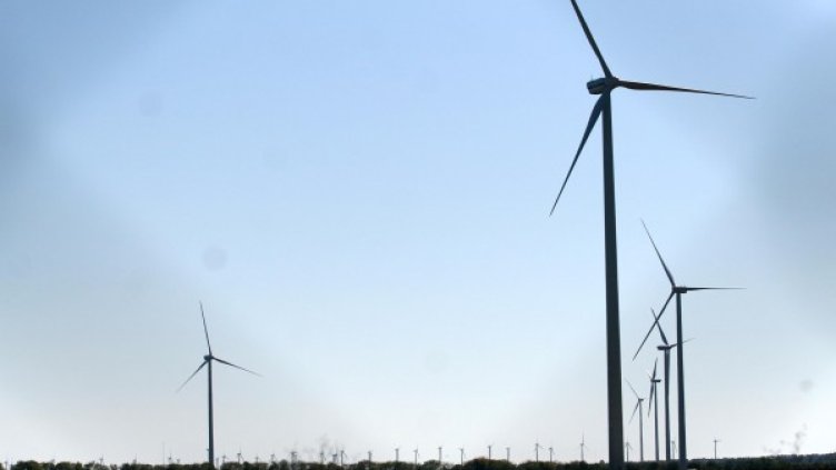 Снимка: Impact Press Group