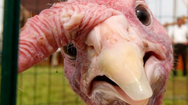 Снимка: архив, Reuters