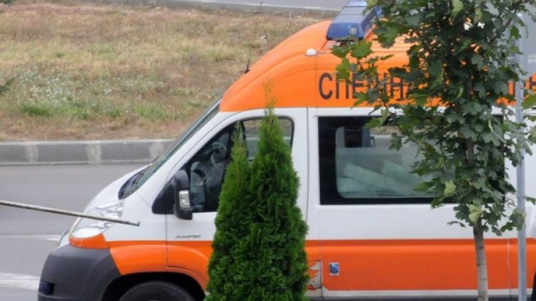 Снимка: Булфото, архив