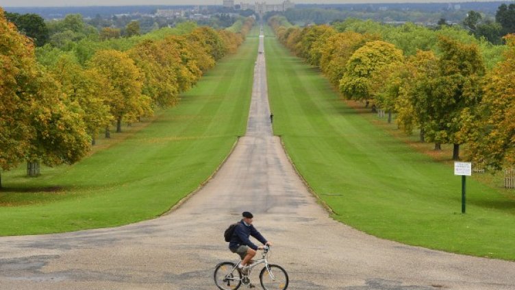 Популярността на велосипедите напуска пределите на традиционните европейски велостолици. Снимка: архив Ройтерс